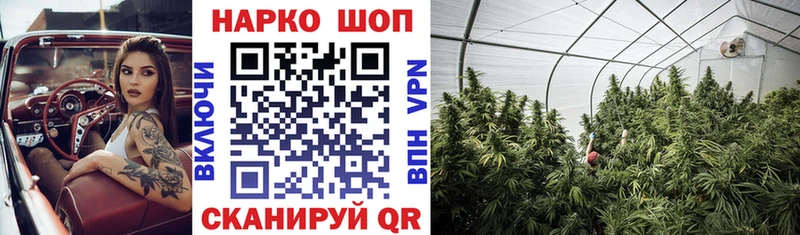 Купить закладку Cocaine  Мефедрон  ГАШ  А ПВП  Каннабис  Каргополь