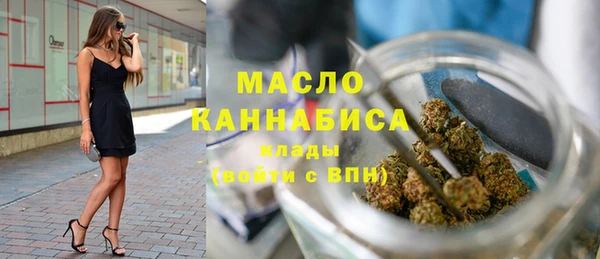 эйфоретик Ельня