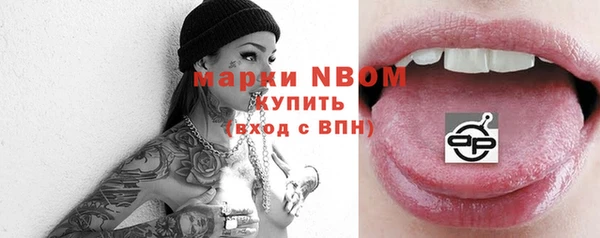 стаф Дмитров