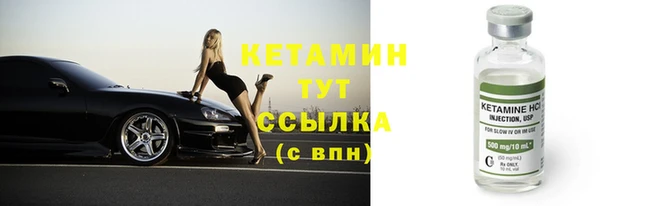 стаф Дмитров