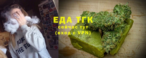 эйфоретик Ельня