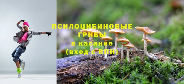 соль ск Дмитровск