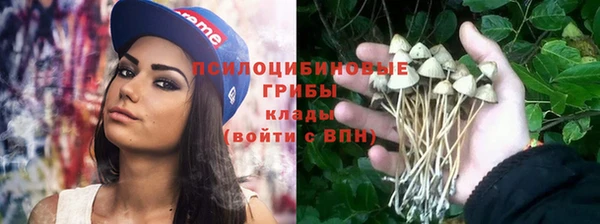 а пвп мука Елабуга
