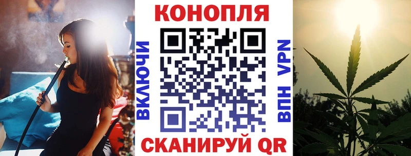 Купить где  Каргополь  Бошки Шишки конопля 